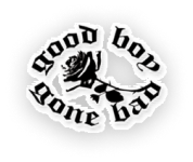 Good Boy Gone Bad
